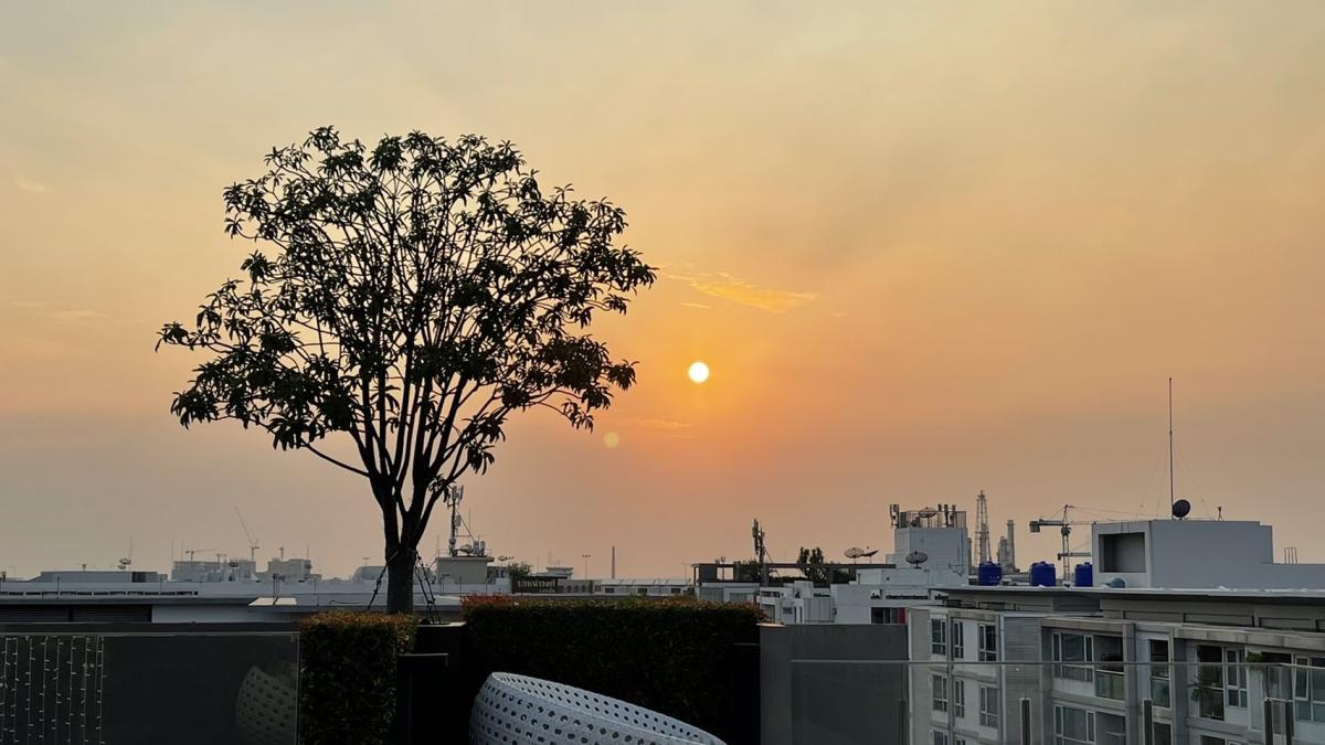 The Tree Sukhumvit 64 (เดอะทรี สุขุมวิท 64)